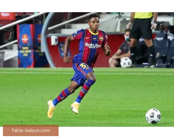 法蒂技术全面性